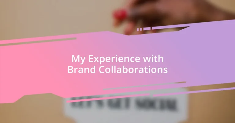 My Experience with Brand Collaborations